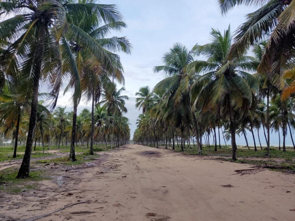 Pousada Flor De Maraca Pôrto das Galinhas Esterno foto